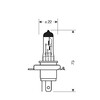 12V Lampada alogena Blu-Xe - HS1 - 35/35W - PX43t - 1 pz - Scatola